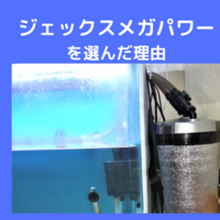 ブクブク泡が出なくなったエアポンプの分解掃除方法を詳しく解説 趣味を楽しむdiyな暮らし ブクブク泡が出なくなったエアポンプの分解掃除方法を詳しく解説 趣味を楽しむdiyな暮らし