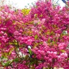 福祉系資格の取得と卒業