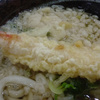 海老天ぷら讃岐うどん