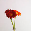 愛はパワーだよ