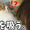 猫を吸い..猫を舐める女