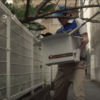 梅切らぬバカを見て