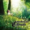 Cerebellar Rondo の 1st フルアルバム『The Realizing 』を通販予約する♪