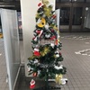 2024年の振り返りと第30回edogawa長距離トライアル☆20250123