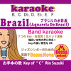 Brazil(aquarela do Brasil)ブラジルの歌詞・曲解説・和訳・カラオケ（Demo Vocal 鈴木輪）