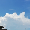 夏の雲と夏の花のおもいで