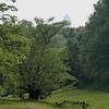 雨上がり  平和公園里山歩き