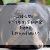 成績公開！中学1年生1学期評定【次女】夏休みの計画は？