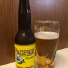 【お酒】Pacifico(ビール)