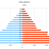 中国の人口ピラミッド　１９８０年～１９９５年