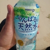 東村のやんばるの天然水…