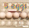 謎の卵５個　