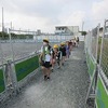 登校の風景：今朝もうっすら曇り空　きれいなアガパンサス