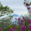 天城山へ山登り