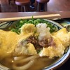 だし玉肉うどん