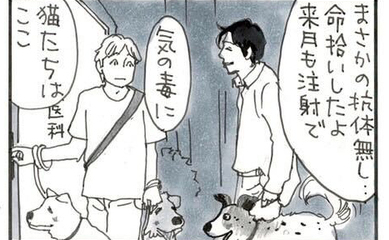 夜廻り猫【第一〇二六話】治療費（無保険）