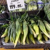 トウモロコシの伝播と栽培種の起源／玉蜀黍（とうもろこし）を詠んだ短歌３　　アメリカ大陸から，いわゆる「コロンブス交換」で世界に広がったトウモロコシは，その後，世界に広まり，現在，最も多くの人が主食としている作物となっています．アメリカ大陸でのトウモロコシの起源については，現在，かなり解明され，原種としてバルサス・テオシントが同定され，また，約9,000年前に一度だけ栽培された品種が，その後，南北のアメリカ大陸全体に広がったことがわかっています．　枯れながら玉蜀黍も稔るべし寂しき雨と思ひつつ寝る　近藤芳美　