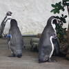 とくしま動物園