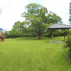 小雨降る中柿原公園へ2025.7月