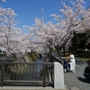 御経塚「安原川の桜」