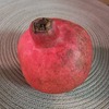 pomegranate ザクロ その１
