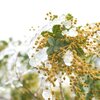 カウンセラーの言葉は全身全霊で懸けて出てくる言葉だからこそ意味がある