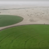 砂漠の緑化技術のブレイクスルー。砂と土の違いは結合関係という発見が鍵に