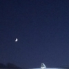消えた投稿……再び