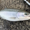 【Salmon釣り】開幕！ミシガン湖のサマースチールヘッド！！