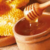 色々あるハチミツの世界 　〜種類・健康効果・美容効果まで徹底解説〜