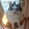 【700記事投稿記念】まだまだこれからが本番。更に成長し続けてもっと面白い人間に！
