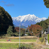 寒くなるほど駆け足になるお散歩