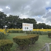 2026/08/15【3回目の正直と新しい仕事】