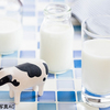 コレステロール値と牛乳摂取に関連はない？　イギリス・研究