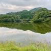 柤大池（兵庫県香美）