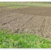復活させた野菜畑を耕し、植え付けの準備
