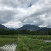 2021/05/22 土曜日　青空