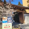 【京都】『興聖寺』「京の冬の旅」　