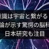 意識は宇宙と繋がる？量子論が示す驚愕の脳科学、日本研究も注目