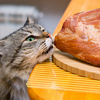猫が食物アレルギーに！症状やキャットフードの選び方は？