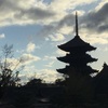 菊の透かしの向こうの桜が見たい　東寺　桜