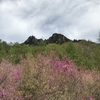 　春の瑞牆山登山