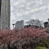 長男の受験を思い出す。去年のこの時期、本当に辛かったな…