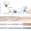 国内初の飲酒量低減薬 セリンクロ錠の承認了承〜平成30年11月9日 薬食審医薬品第一部会