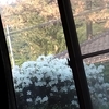 退院後の～