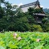信州　蓮の名所５選
