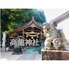長岡の金運パワースポット「高龍神社」へ！龍の御朱印帳と金色ヘビの御朱印がカッコイイ！