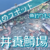 【お出かけ】餌やり！ふれあい！魚釣り！子どもたちと醒井養鱒場に行ってきました【滋賀】