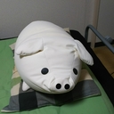 地方から記者を目指す