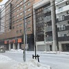雪まつり3日目「大通会場」のイベントを見る。ところが、土曜日のせいか、アイドルステージのせいか、満員電車のようで・・・